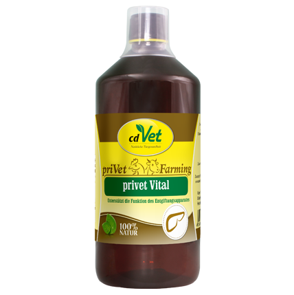 privet Vital