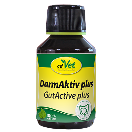 DarmAktiv plus
