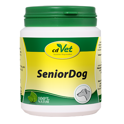 SeniorDog