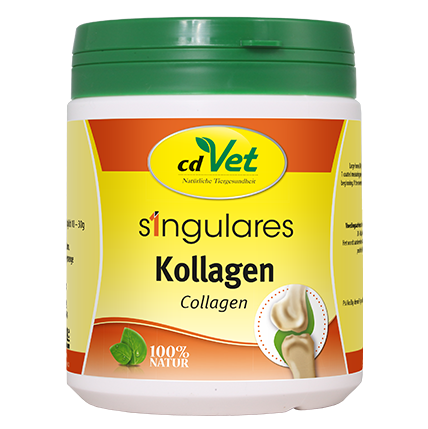 Singulares Kollagen