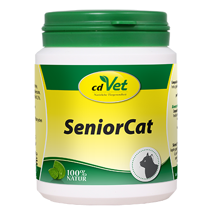 SeniorCat