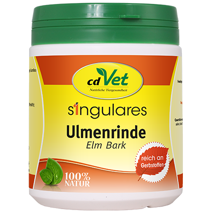 Singulares Ulmenrinde (europäisch)