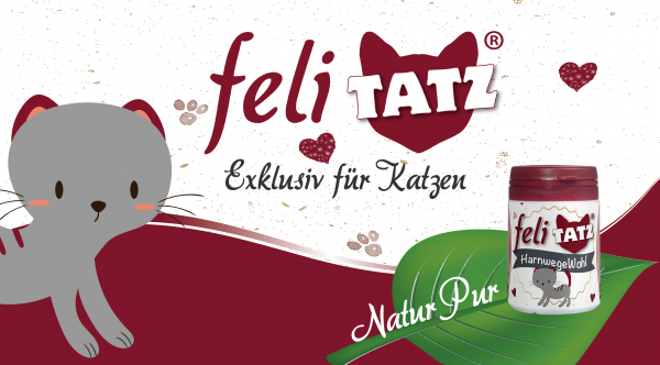 feliTATZ-HarnwegeWohl