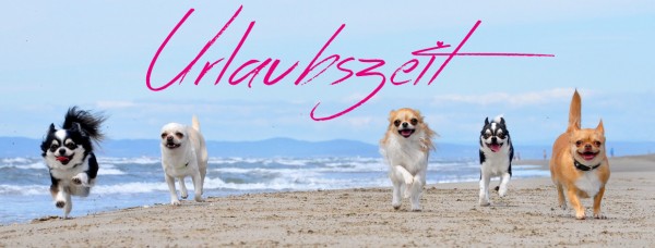 Urlaubszeit_Banner5940ff709cba1