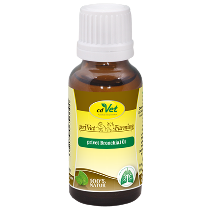privet Bronchial Öl 20ml