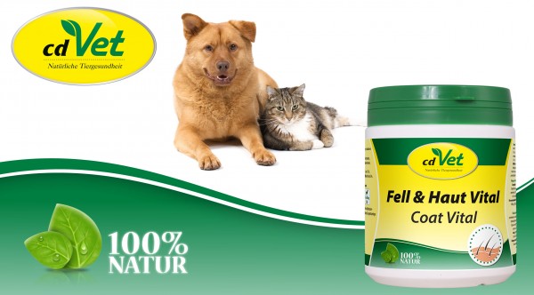 Fell-Haut-Vital-Hund-Katze
