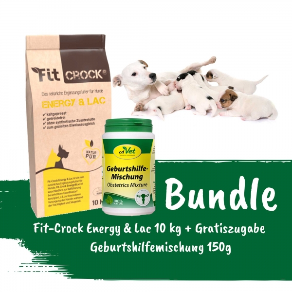 Aktions-Bundle FitCrock Energy & Lac