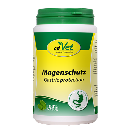 Magenschutz