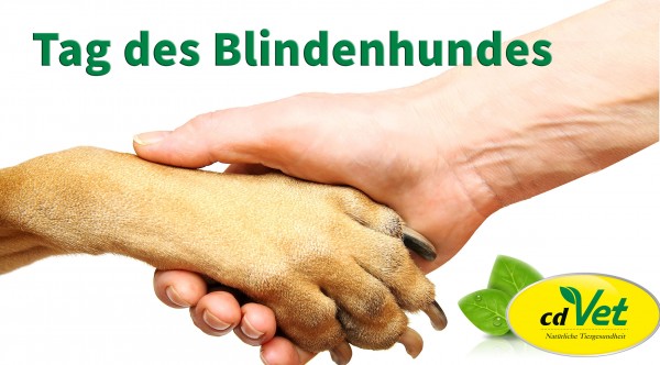 blindenhund
