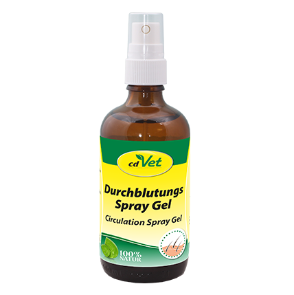 Durchblutungs Spray Gel 100 ml