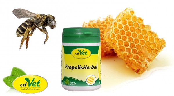 Propolis-Herbal-Honigbiene