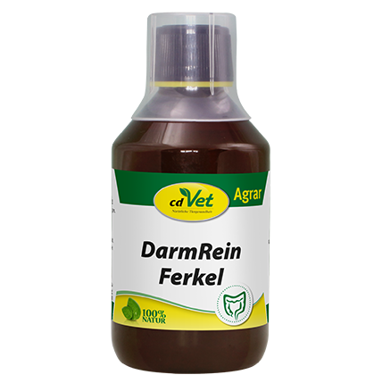 DarmRein Ferkel