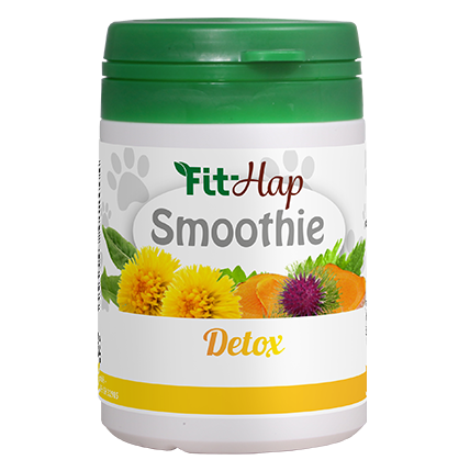 Fit-Hap Smoothie Detox
