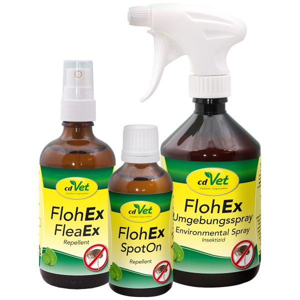 FlohEx-Gruppe