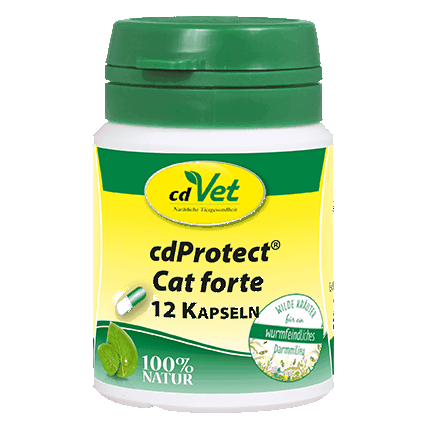cdProtect Cat forte