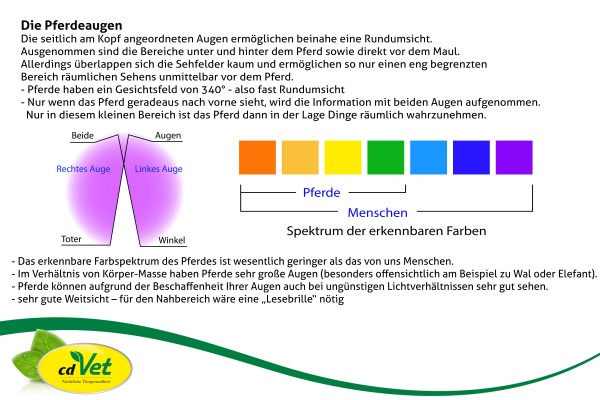 3-Pferd2