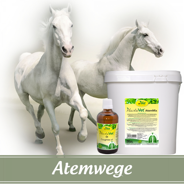 Aktions-Bundle PFERD "Atemwege"