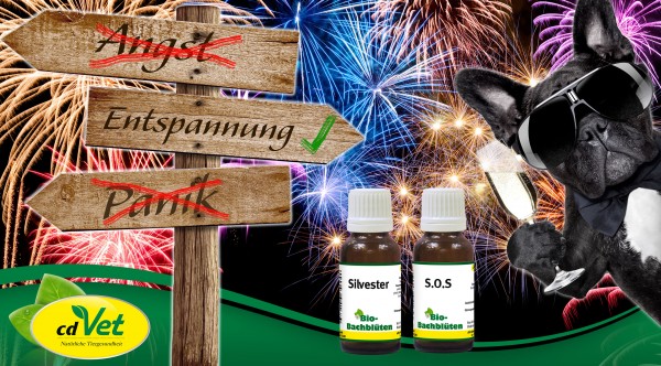Bachbl-uten2016Silvester