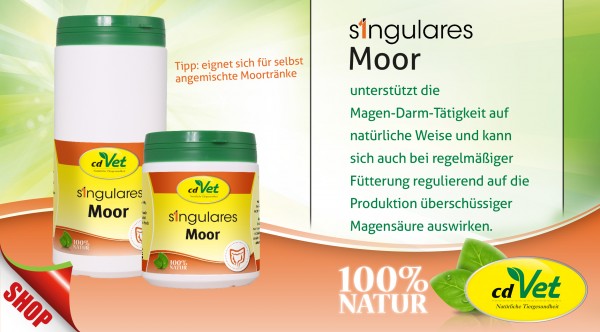 singularis_moor-NEU
