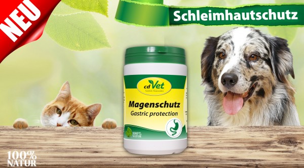Magenschutz5bced2b35eea7