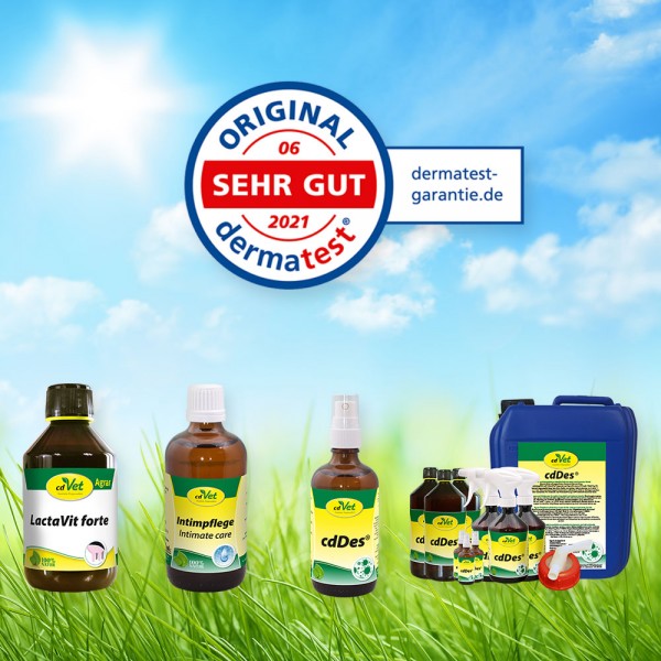dermatest_Blog