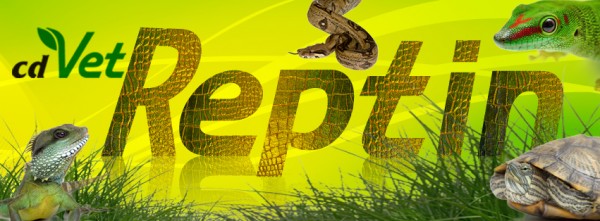 facebook-Reptilienseite