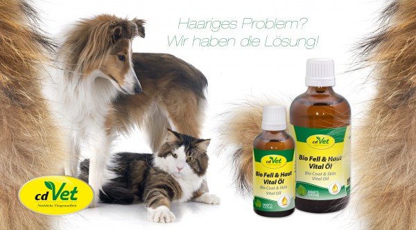 Fellwechsel_Hund_Katze59a8fea8302fa