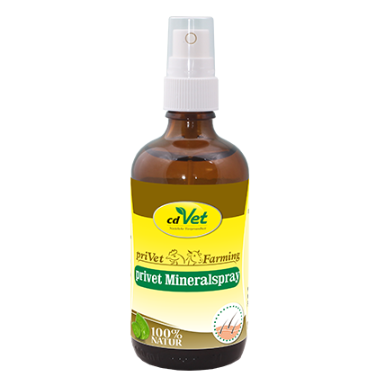 privet Mineralspray