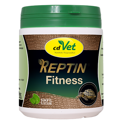 REPTIN Fitness
