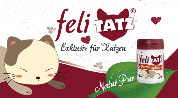 feliTATZ-DarmRegulanz
