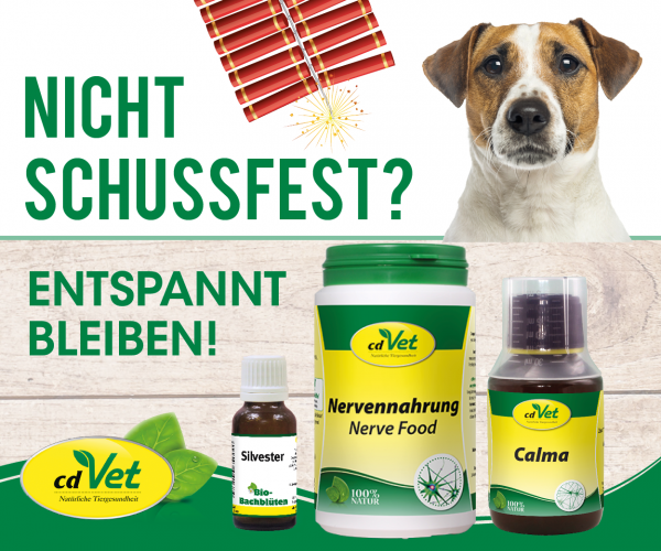 Silvester-Feuerwerk-Schussfest-Hunde-Calma-Nervennahrung-300x250-300