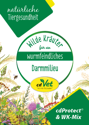 Flyer cdProtect, 6 - Seitig