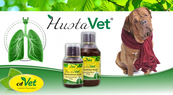 bronchial-vital-hund