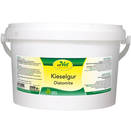 Kieselgur