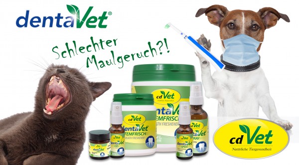 dentaVet_alle