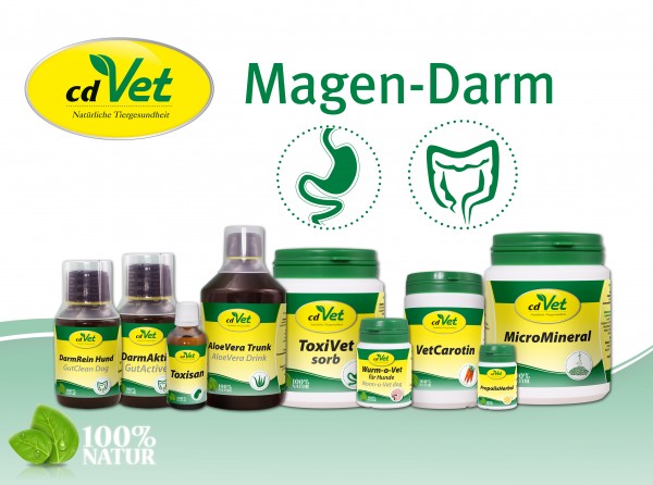 3-Magen-Darm