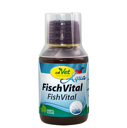 FischVital