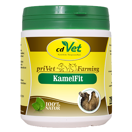 privet KamelFit