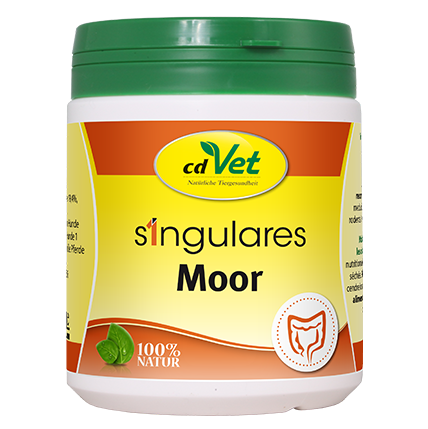Singulares Moor
