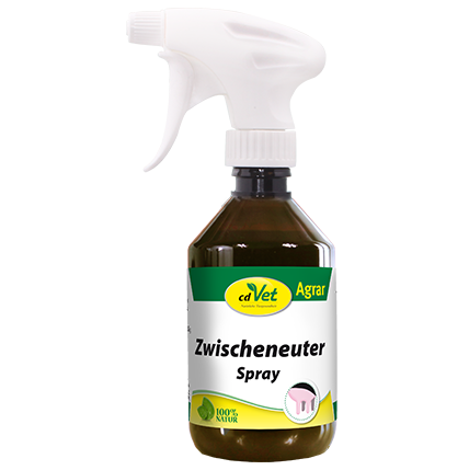Zwischeneuter Spray