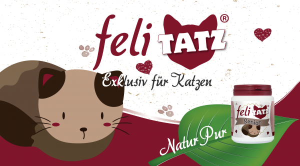 feliTATZ-Senior