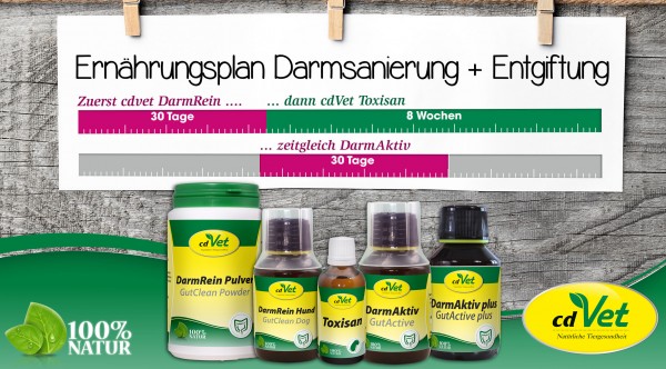 darmsanierung_neu