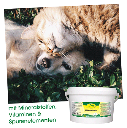 MicroMineral Hund & Katze