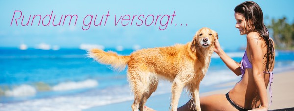 Urlaub_mit_Hund_Banner59414af7e7fea