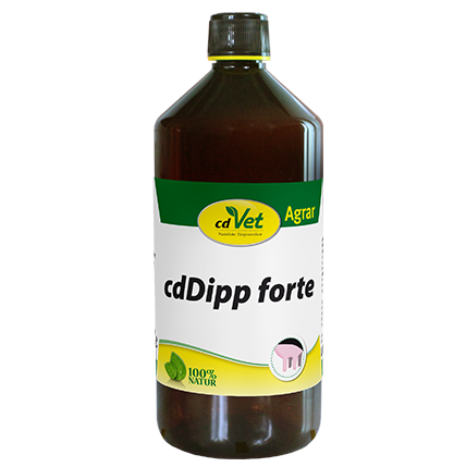 cdDipp forte 1 Liter Hinweis ADR Gefahrgut UN 1993