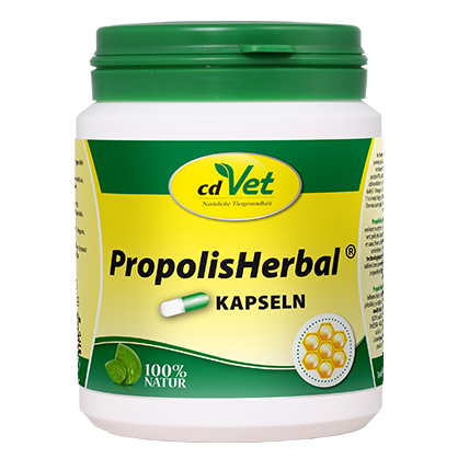 PropolisHerbal