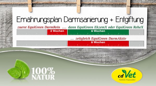 Darmsanierung58d4cd1dcb766