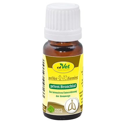privet Bronchial