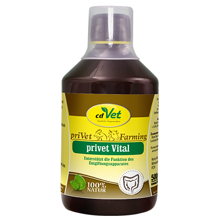 privet Vital