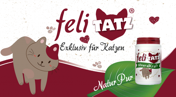 feliTATZ-MineralKraft
